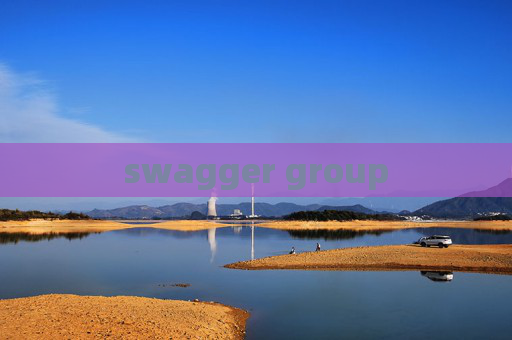 swagger group